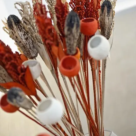 Frühstückspension Romacentrarte 4*